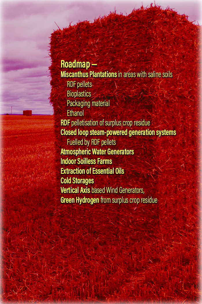 Opening Page